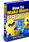 Mini Profit Guide